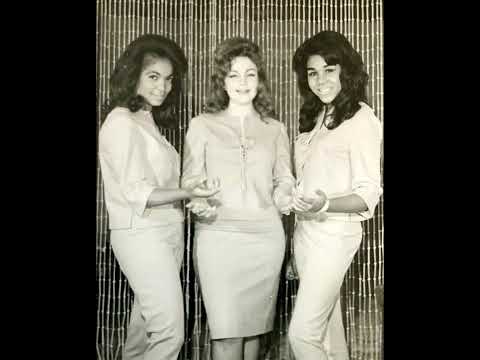 Home Of The Brave   Bonnie And The Treasures