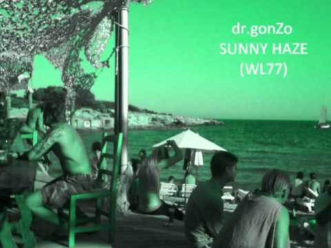 dr.gonZo: SUNNY HAZE // out soon on WL 77