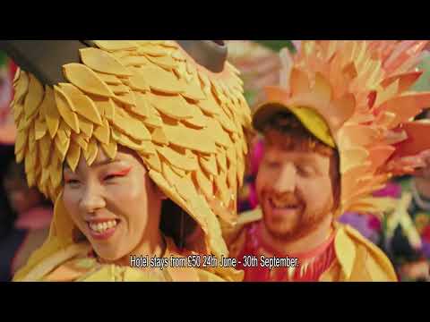 Video preview