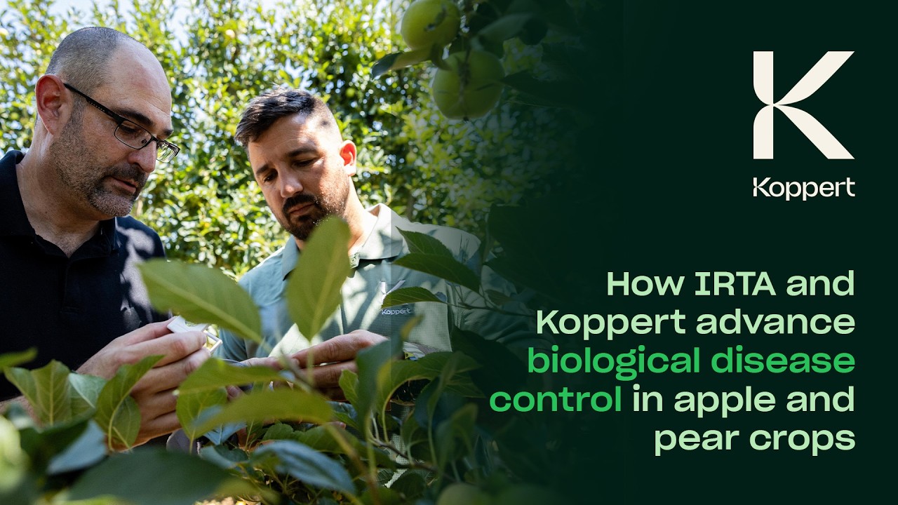 Biological disease control in apple and pear | IRTA & Koppert research