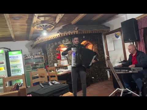 Ona voli zivot (Saban Saulic) - Radovan Ivanovic - Bugari Balkan 🪗