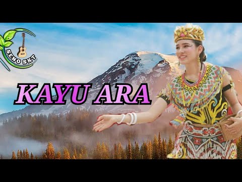 Kayu Ara - Lagu Dayak Ahe ( Kal - Bar ) Cover Ukulele By Seno Skt X Asian
