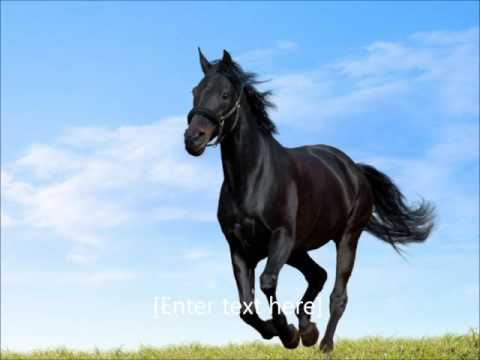 The Lover that You Are Pulse featuring the voice of Antoinette Roberson essential mix 96