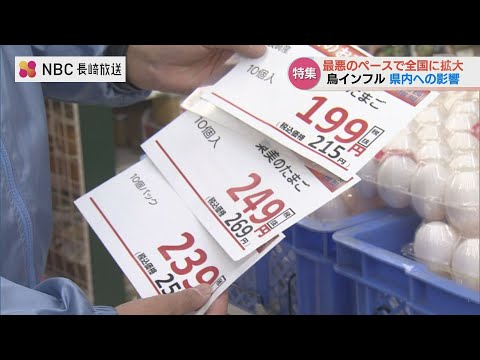 過剰な体重は産卵鶏にどのような影響を与えますか?生産性は向上していますか、それとも低下していますか?  庭園