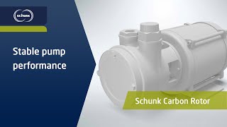 Stable pump performance with low wear for automotive applications | Carbon Rotor | Schunk Mobility