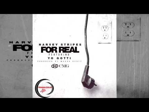 HARVEY STRIPES ft. YO GOTTI - FOR REAL  2k16