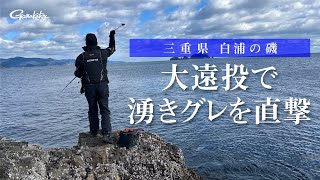 【FishingLover東海】大遠投で湧きグレ直撃！前岡正樹が寒グレを仕留める！～三重県 白浦の磯～