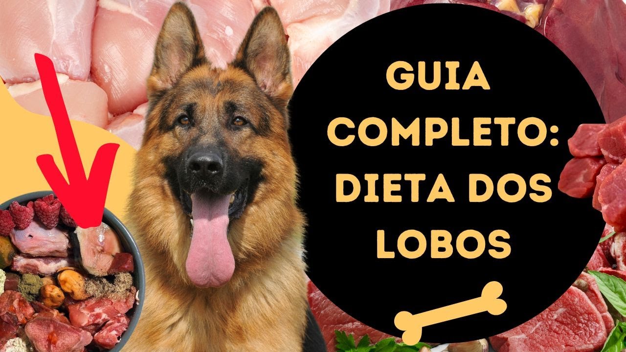GUIA COMPLETO DE ALIMENTAÇÃO CRUA COM OSSOS