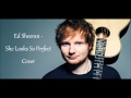 Ed Sheeran - She Looks So Perfect Cover 