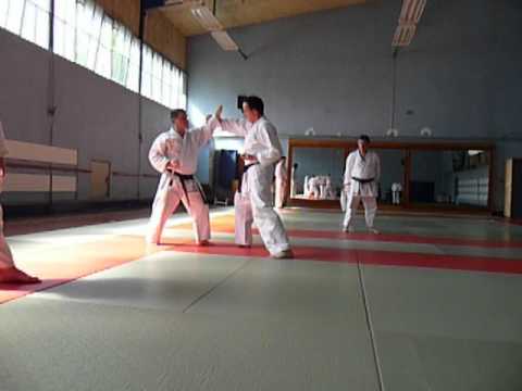 Bunkai kata: Niseishi
