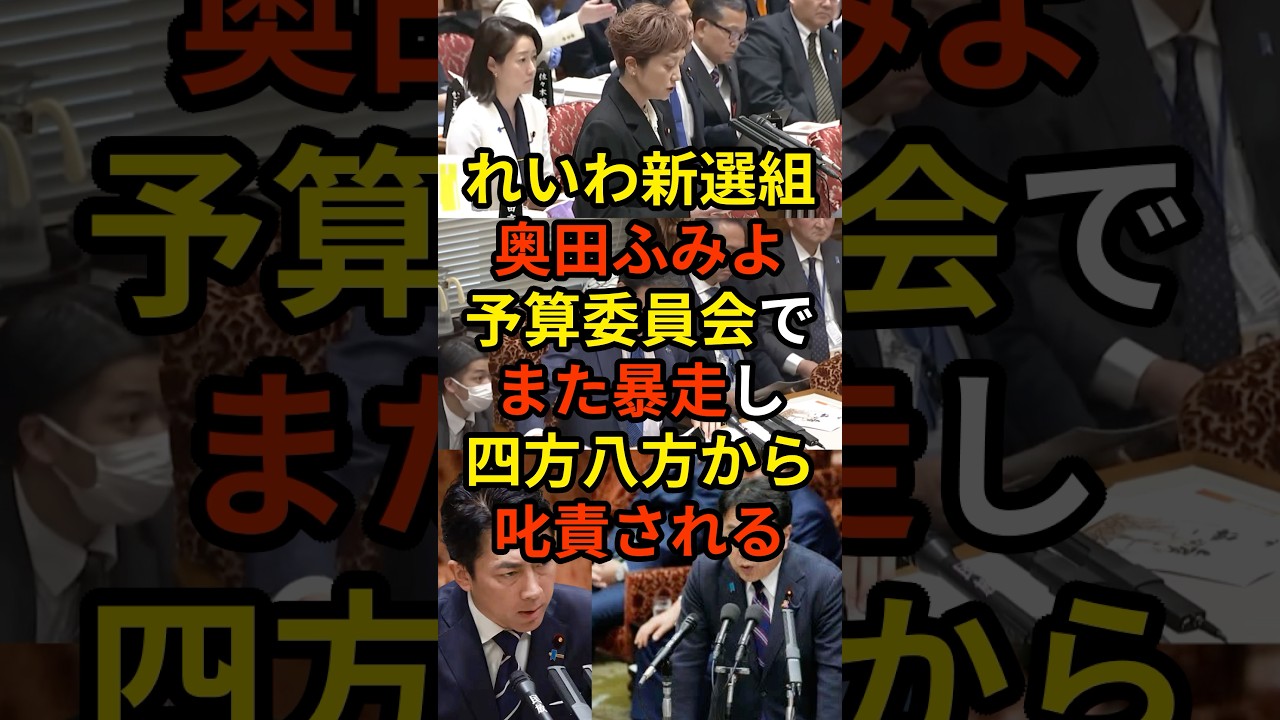 「人◯しの武器を作ったり買ったり...」れいわ新選組・奥田ふみよ共同代表が参議院予算委員会でまた暴走し、四方八方から叱責される...