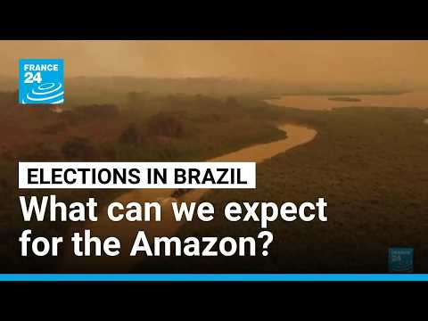 Brazil: What does Lula's re-election mean for the Amazon?