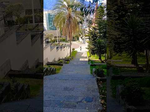 Caminando Ecuador - Quito, Pichincha