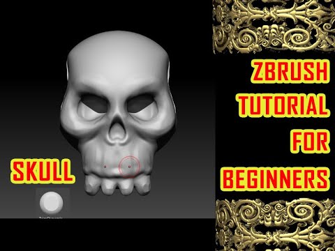 SKULL | zbrush tutorial beginner hindi | zbrush skull sculpting | zbrush jewelry tutorial in hindi