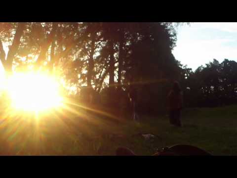 Tundra 2014 Psy Beach