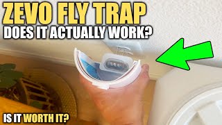 Does the Zevo Flying Insect Fly Trap Actually Work