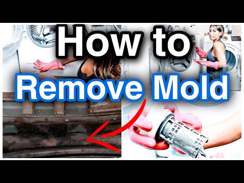 HOW TO REMOVE MOLD FROM YOUR WASHING MACHINE | FRONT LOAD GASKET MOLD REMOVAL | @myrandaachvan
