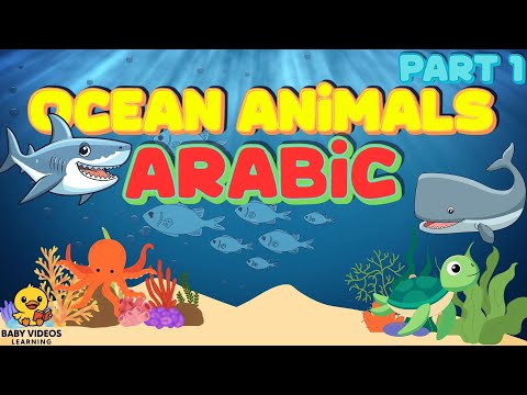 Ocean Animals in Arabic | Bilingual Song for Kids (English–Arabic) – Part 1 | Baby Videos Learning