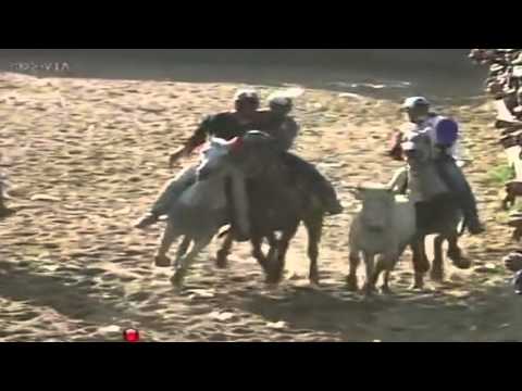 RENSO CARABALLO - COLEADORES DEL MILENIO