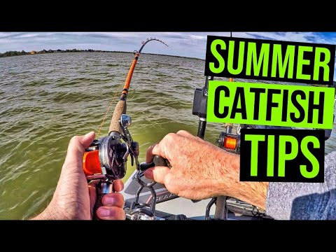 Summer Catfish - Top 10 Tips For Summer Catfishing