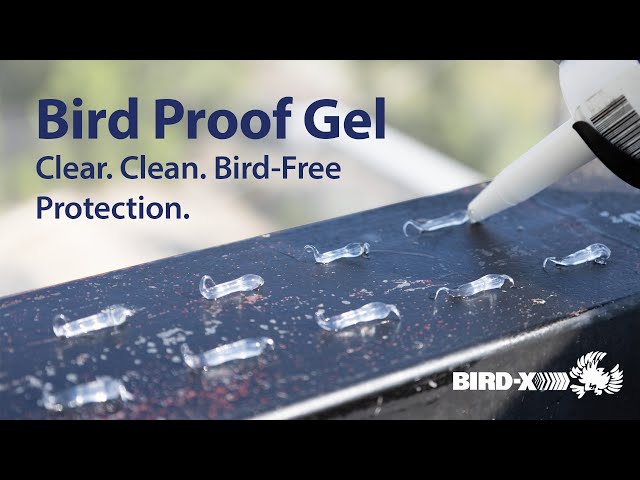غراء طارد الحمام بيرد إكس الشفاف لمكافحة الحمام ومنع الوقوف والتعشيش 296 مل موديل Bird Proof