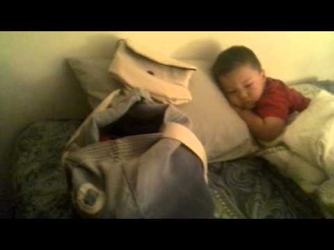 mi perrito Dios gracias por Todo lo q nos da felizcumpleaños Marcotulio te amo