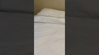 Pure Down Comforter for Your Bedroom