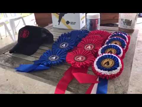 BBQ Bully 2019 by WIPS and Unik prod