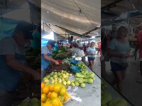 distrito de bonança Moreno Pernambuco