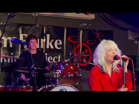 CLEM BURKE AND BOOTLEG BLONDIE DREAMING IS FREE