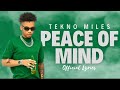 TEKNO- PEACE OF MIND (LYRICS VIDEO)