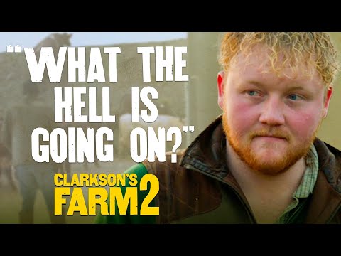 Jeremy & Kaleb Herd The Chaotic Cows To Their New Home | Clarkson’s Farm Season 2