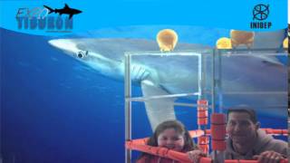 DIA 3 Expo Tiburon121