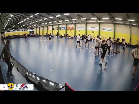 Blackbirds 04 kilpa - Panthers