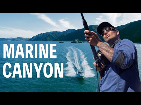 Deep sea fishing New Zealand (500m+) | Local guide in Kaikoura