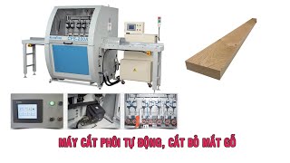 MÁY CẮT PHÔI TỰ ĐỘNG VẠCH PHẤN | CFS-200A