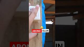 işığı yandır. #youtubeshorts #shortvideo