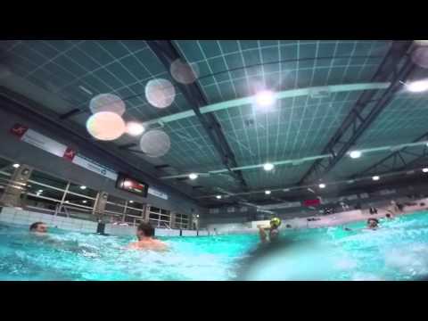 Training Polar bears heren 4