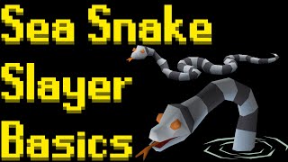 Basic Sea Snake Slayer Guide 2021 (OSRS)