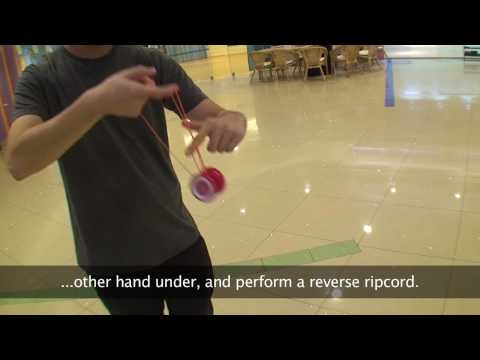 Spinworkx Challenge Intermediate II - 19. Wormhole