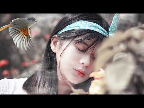 Lời ru cho em - Ngọc Quy