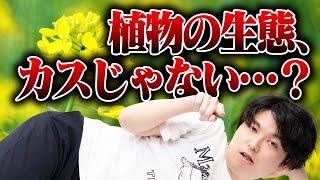 【悲報】植物、ヤバすぎる#110