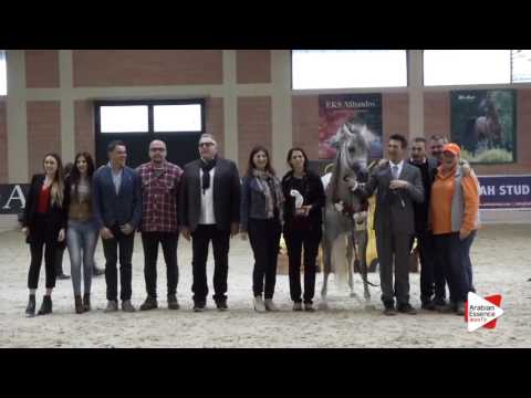 1ST-N.68 ELAN DE MARC KA - Milan 2016 - Mares Championship (Class 19)