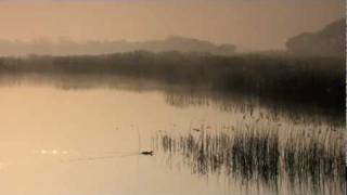 preview picture of video 'Shapwick National Nature Reserve at dawn, March 2011. Somerset, UK'