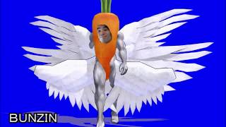 【ポストPPAP】ニンジンBUNZIN