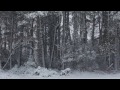 Silver Screen - Like A Winter Day