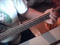 She's Like The Wind (Bass Cover) 