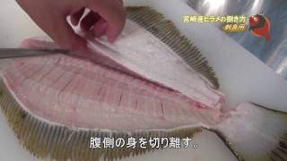 ヒラメの捌き方~刺身用~