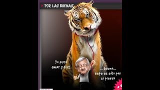 Amigo de la granja  - continuacion a tigres del norte