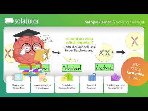 Meiose (Basiswissen) einfach erklärt – Biologie 9. - 13. Klasse